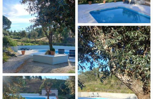 Vale de Garcia AL 5357 - Foto 2