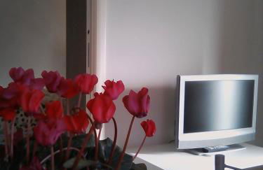 La Graziosa Dépendance - Photo 18