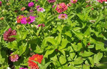 Eleni B&B - Photo 24