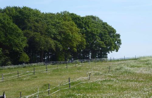 Ferienwohnung Ruhepunkt - Foto 23