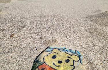 Wydmy Wiatr - Foto 41