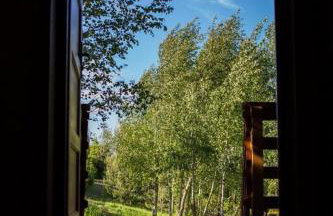 Sowi Dworek - Foto 40