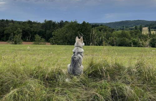 Grande gite Saint Martin le Redon - Foto 31