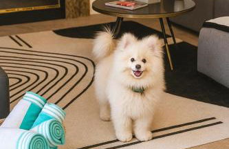 Luxe Palm Springs Villa- Sunset Oasis Private Heated Pool & Spa on Golfcourse - Foto 12