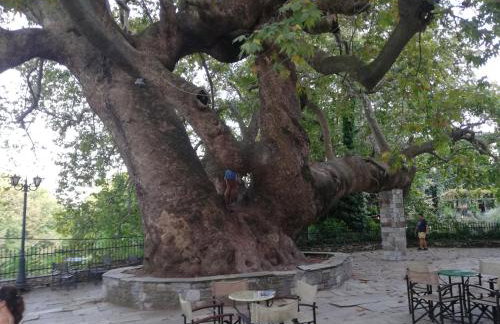 Guest House Pafili - Foto 55