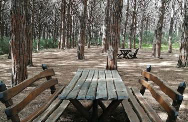 Bilocale primo piano Marina di Cecina - Foto 34