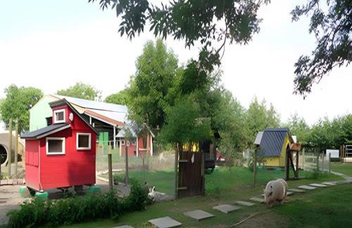 Ferienhof Friccius - Photo 32