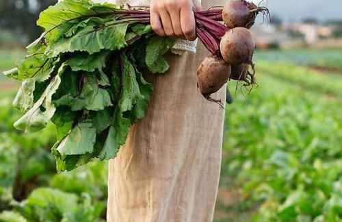 Asolo Norah's Hill Agri Rooms - Foto 71