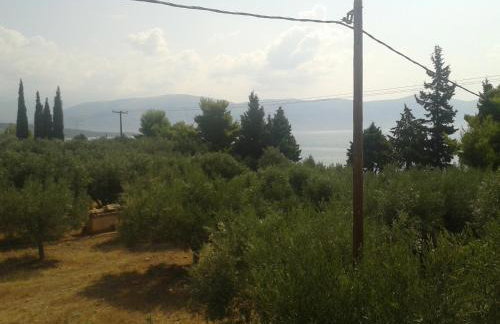 Elea Guesthouse - Photo 37