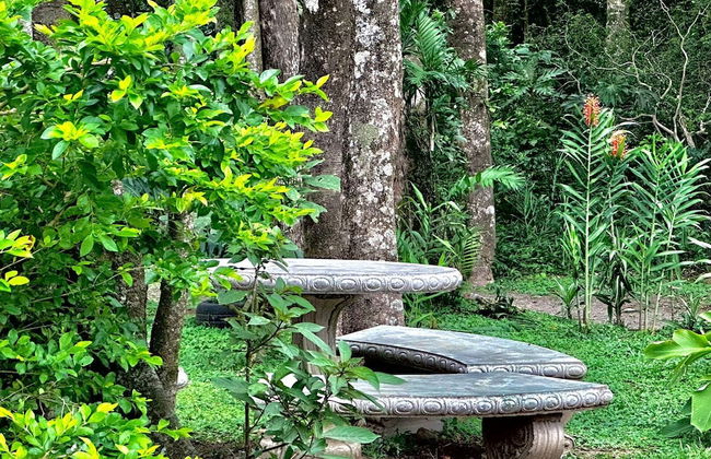 Cabañas Roca Verde Monteverde - Foto 57