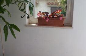 Apartment Lara - Foto 2