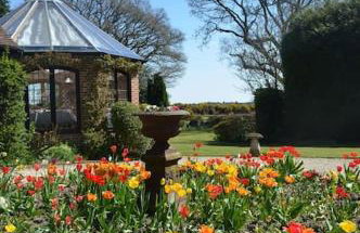 Holmans NEW FOREST - Photo 47