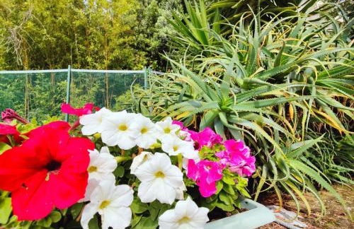 Le COQ Massolin - Parking - AC - WIFI - Foto 18