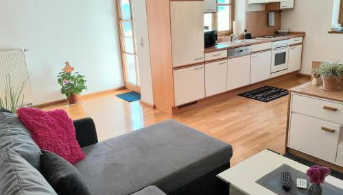 Fewo Alpenblick im Haus Wiedemann - Foto 3, stove, dishwasher