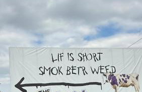 420 Friendly Canada Bridge View Loft Downtown FREE parking - Foto 22