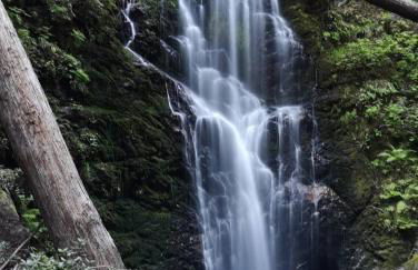 Evergreen Escape - Foto 49