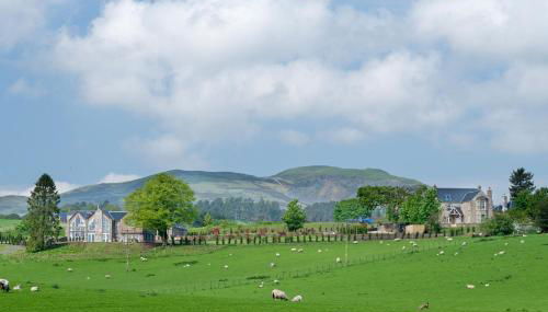 Milton Farm - Foto 1