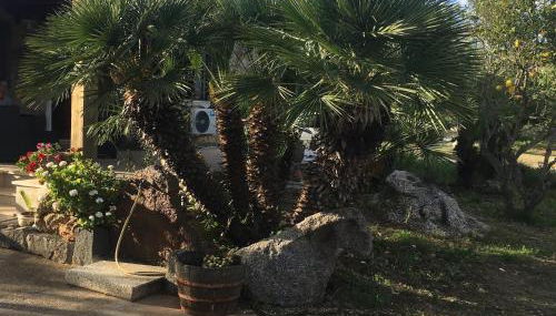 NicChia Turchese - Foto 2, Garden