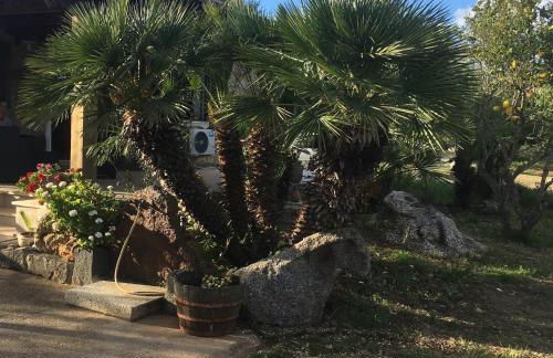 NicChia Turchese - Foto 2