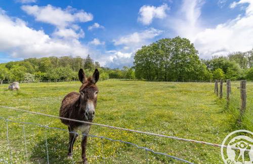 Gîte de groupe avec salle de jeux, jardin 4000m², proche forêt de Chandelais et Zoo de la Flèche - FR-1-622-56 - Photo 11