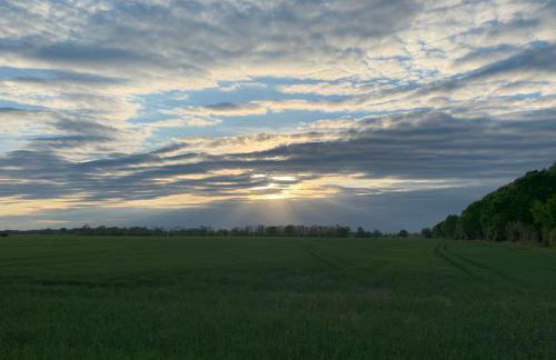 Landidyll - Bauernhaus Ländchen Bellin - Photo 43