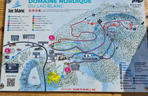 bel appartement 3 pièces dans la Résidence Vosges-Alsace Orbey - Foto 15