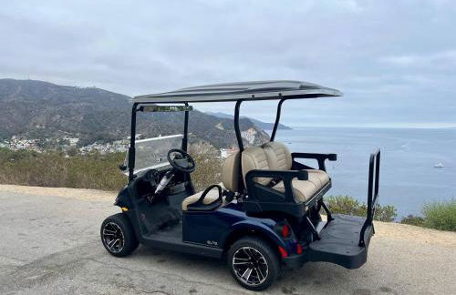 Catalina 3 bedrooms with Hot Tub & Golf Cart - Foto 46