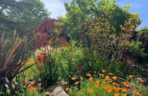 Amazing Santa Cruz Landscaped Paradise - Foto 19