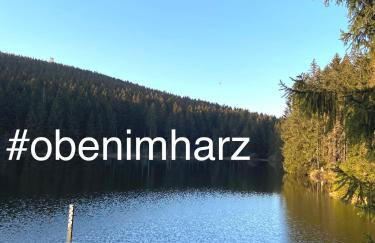 Harzpur Lodge - Pure Entspannung in purer Natur - Foto 20