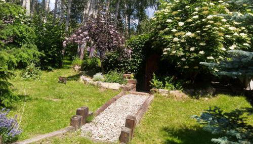 Leśna Polana - Foto 5, Garden, Garden view