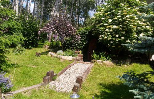 Leśna Polana - Foto 5