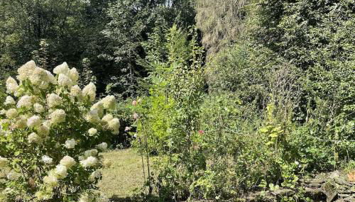 Das grüne Haus allein für Dich! - Foto 5, Garden, Garden view