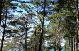 Kervig maison à 2 pas des plages - Foto 25