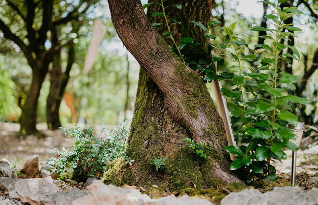 Domaine en Terre Happy - Foto 65