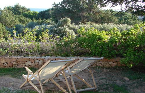 Apartamentos Laura Playa de Migjorn - Foto 7