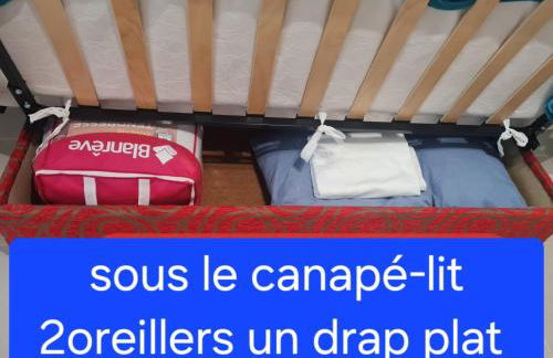 appartement vue mer,accès direct plage,fibre,clim,parking public gratuit - Foto 8