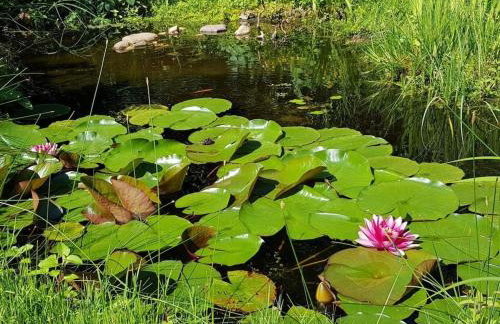 Holiday home with 3 bedrooms - Photo 7