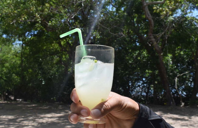 Rosario Islands Day Trip - Photo 5