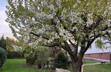 Apartment Ida - Foto 13