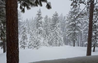 GetAways at the Lodge at Kingsbury Crossing - Foto 72