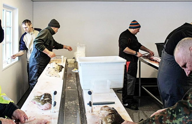 4 Person Holiday Home in Sula - Foto 8