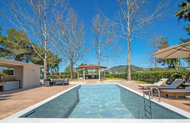 Adriana Di Levante - Foto 40