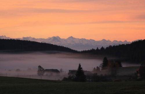 Bürschtehanse-Hof - Foto 8