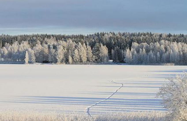 Kopinkallio 3 - Foto 16