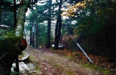 Dandy Villas Agoriani - Chalet Kallisti - Fireplace - Up to 6 - Foto 33