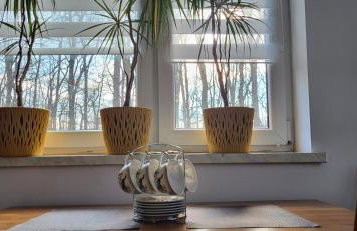 Apartamenty "Natalia" - Foto 31