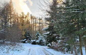 Pisary20 Dom w Masywie Śnieżnika - Foto 39