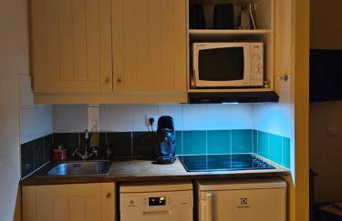 Appartement AVEC WIFI CHEZ FLO T2 Résidence BELLES RIVES Argentat - Foto 20