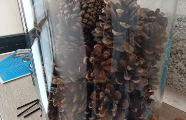 Apartamentos Gabín - Foto 8