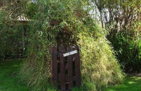 Clipper Cottage - 1874 Wrecker's home - Photo 22